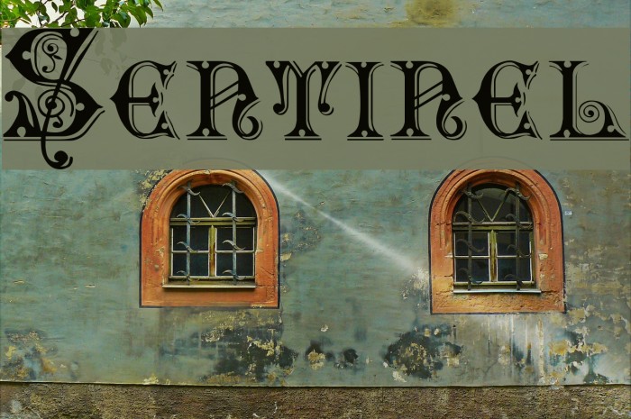 Sentinel Font examples