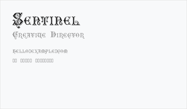 Sentinel Business Card