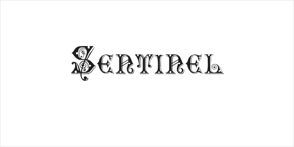 Sentinel Logo