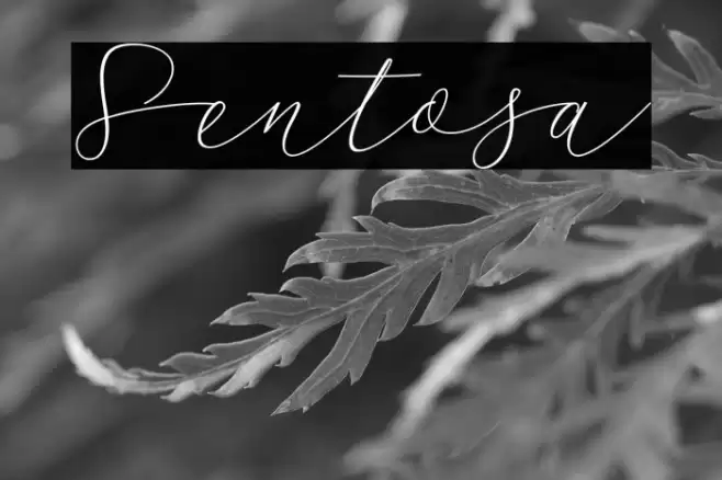 Sentosa Font examples