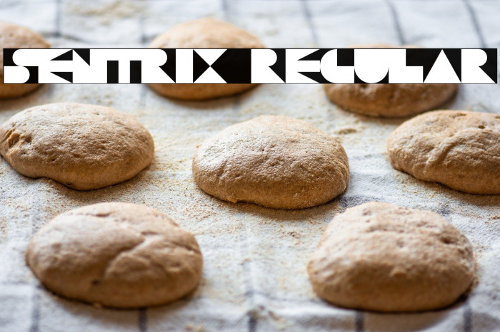 Sentrix Regular Example 2