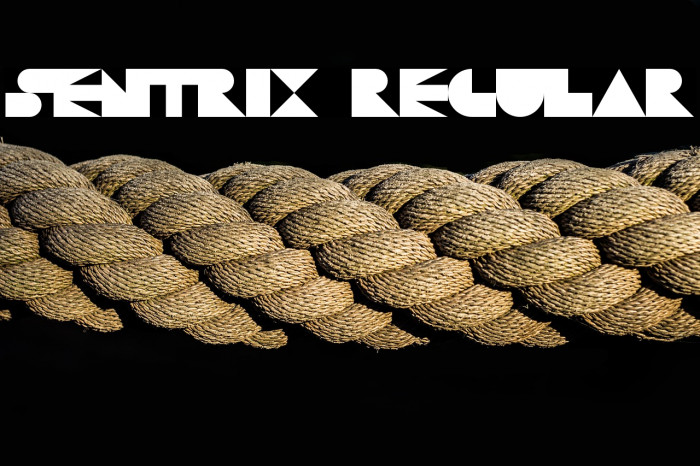 Sentrix Regular Example 3