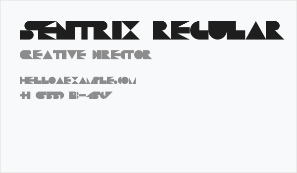 Sentrix Regular Business Card