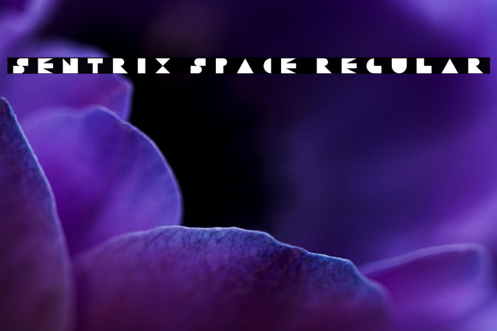 Sentrix Space Regular Example 2