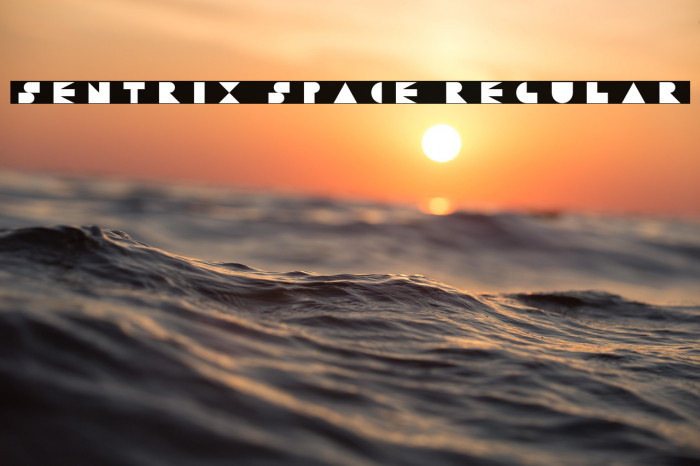 Sentrix Space Regular Example 3