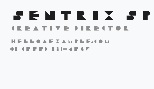 Sentrix Space Regular Business Card
