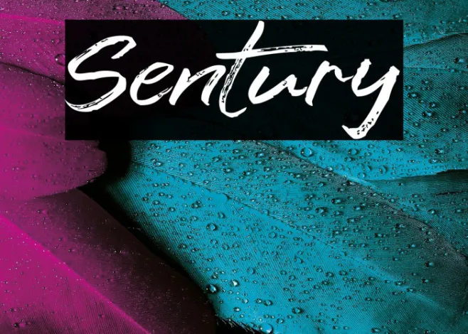 Sentury Example 2