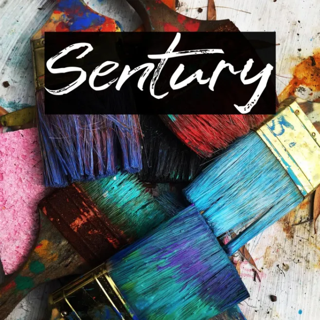 Sentury Example 3