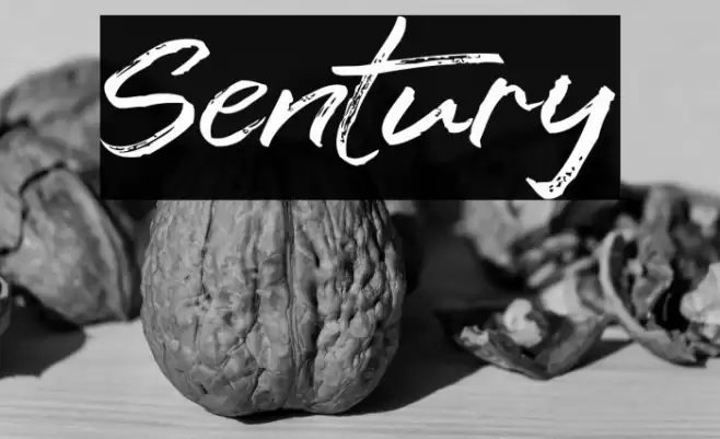 Sentury Font examples