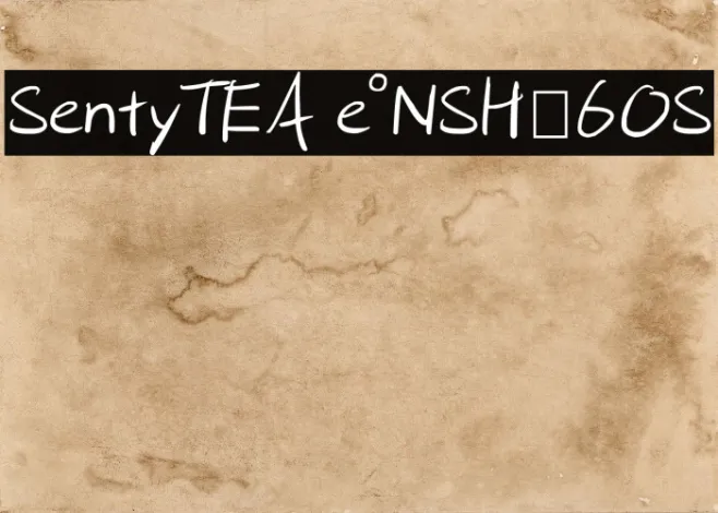 SentyTEA e°„‚NSHƒ6OS Example 1
