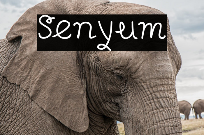 Senyum Schriftart examples