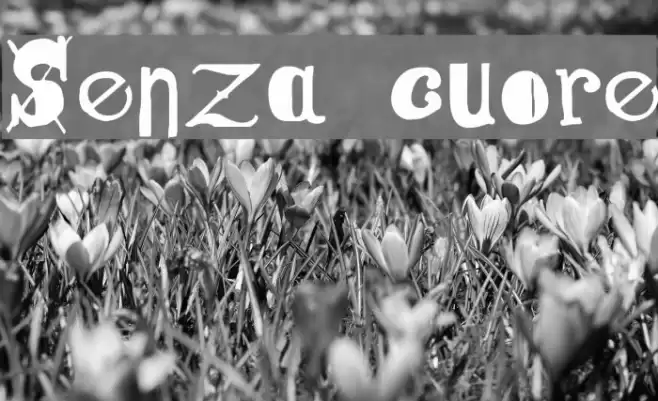 Senza cuore Font examples