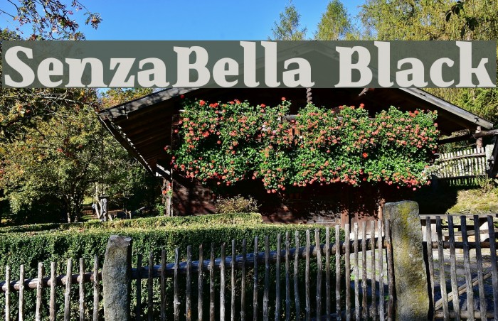 SenzaBella Black Example 1