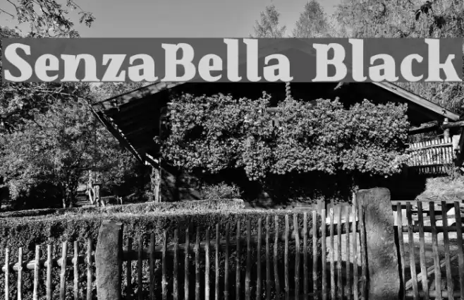 SenzaBella Black Font examples