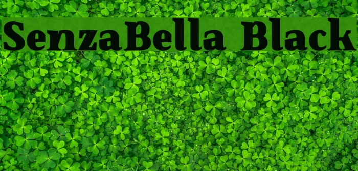 SenzaBella Black Example 3