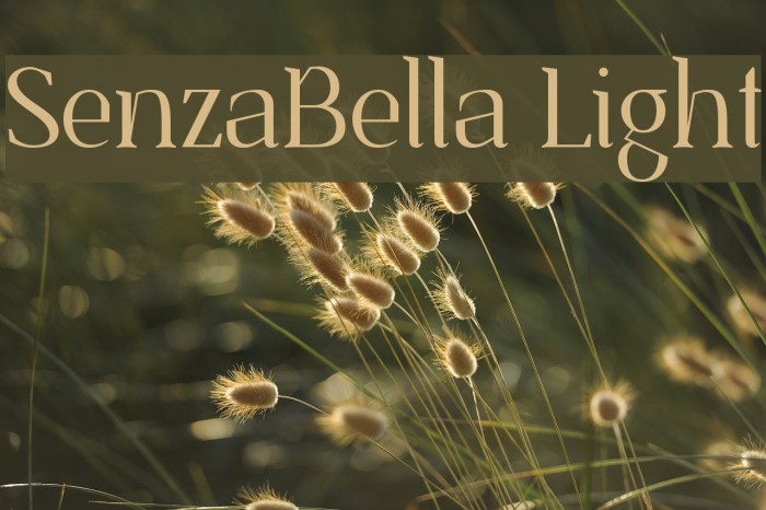 SenzaBella Light Example 1