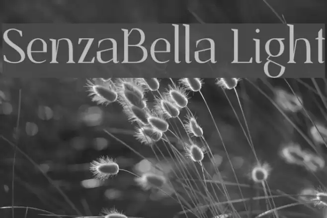 SenzaBella Light Font examples