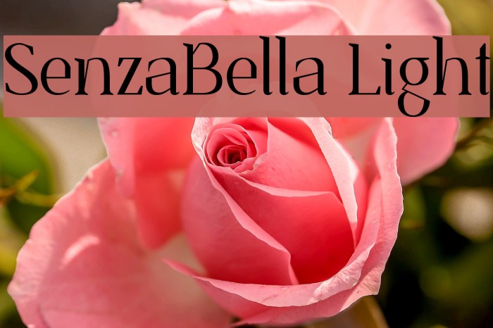 SenzaBella Light Example 2