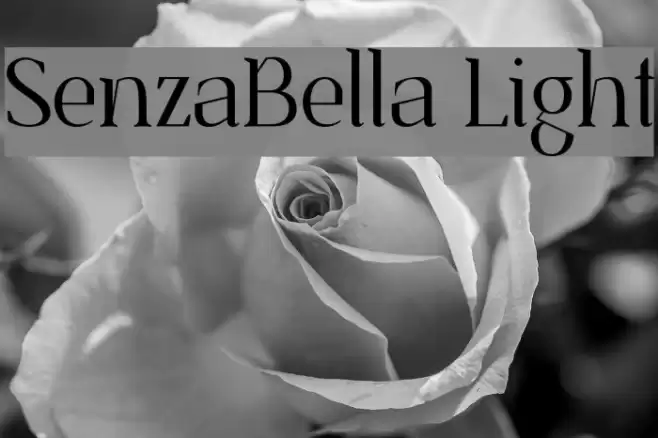 SenzaBella Light Font examples