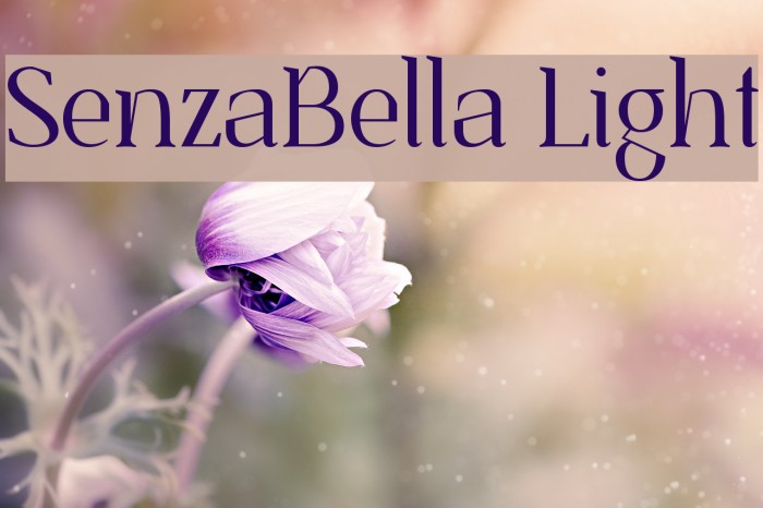 SenzaBella Light Example 3