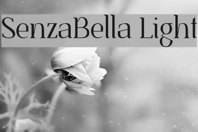 SenzaBella Light Font examples
