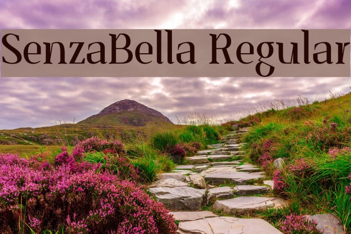 SenzaBella Regular Font examples