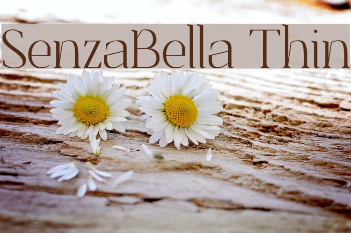 SenzaBella Thin Font examples