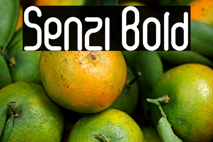 Senzi Bold Example 2