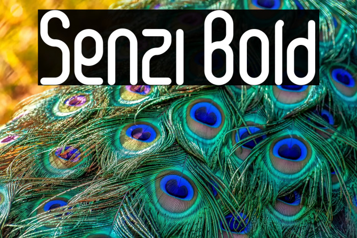 Senzi Bold Example 3