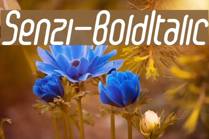 Senzi-BoldItalic Example 1