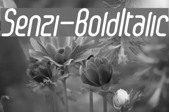 Senzi-BoldItalic Font examples