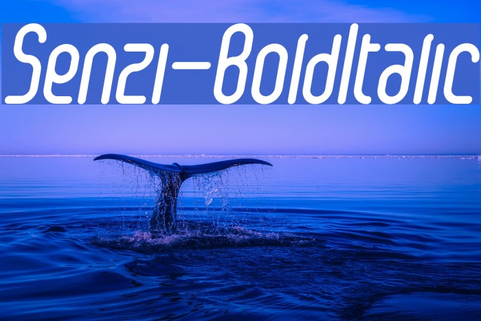 Senzi-BoldItalic Example 2