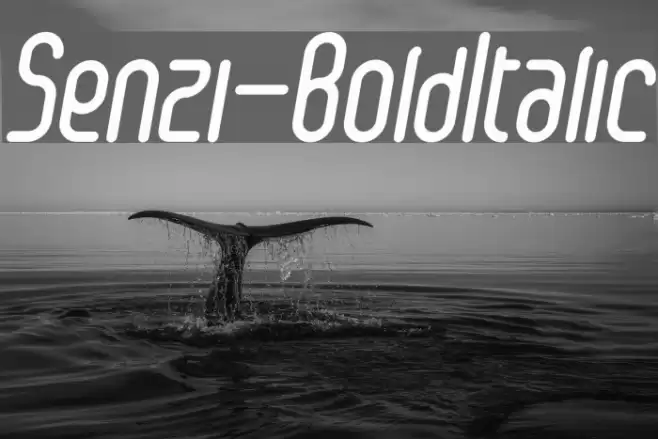 Senzi-BoldItalic Font examples