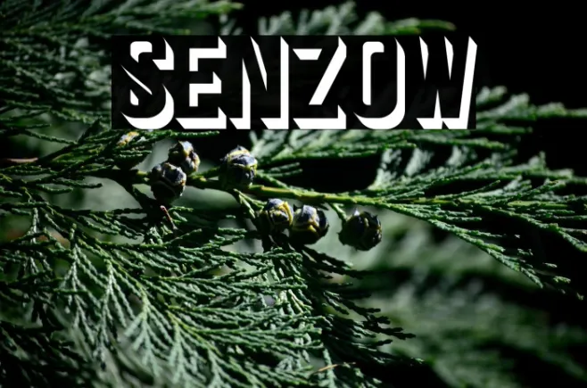 Senzow Example 1