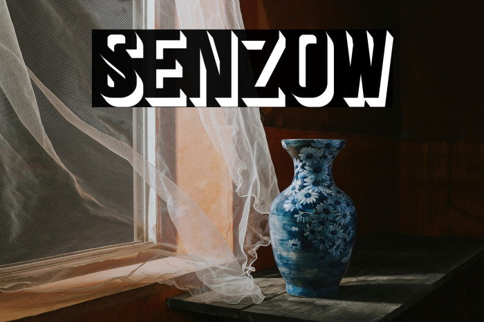Senzow Example 2
