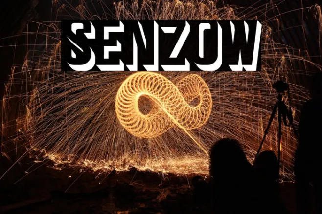 Senzow Example 3
