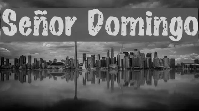 Señor Domingo  examples