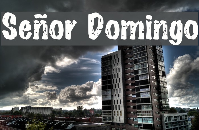 Señor Domingo Font examples