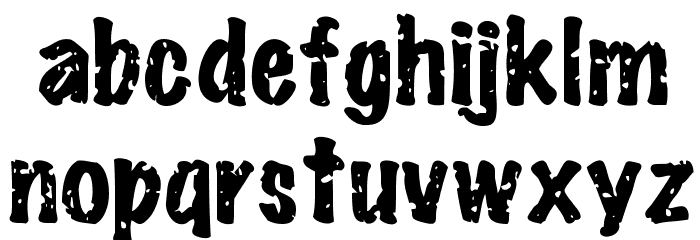 Señor Domingo Font LOWERCASE