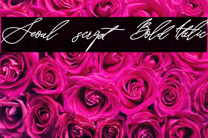 Seoul script Bold Italic Example 1