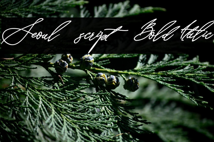 Seoul script Bold Italic Example 2