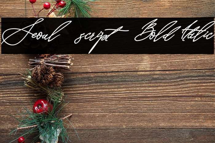Seoul script Bold Italic Example 3