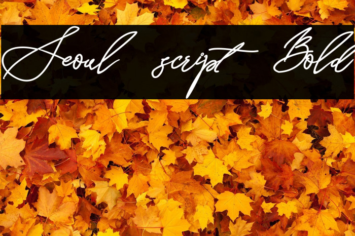 Seoul script Bold Example 1