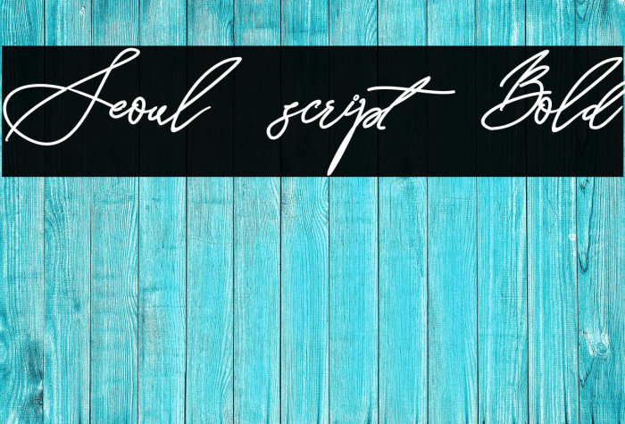 Seoul script Bold Example 3