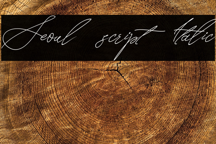 Seoul script Italic Example 1