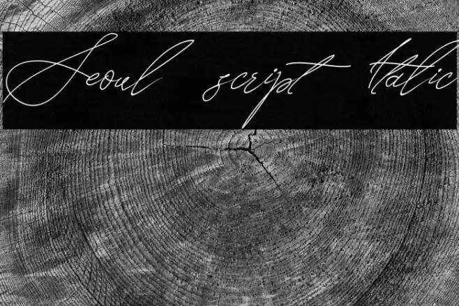 Seoul script Italic Font examples