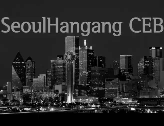 SeoulHangang CEB Polices examples