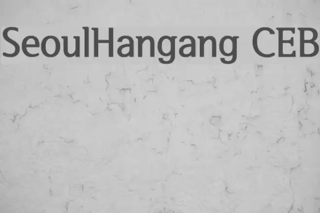 SeoulHangang CEB Polices examples