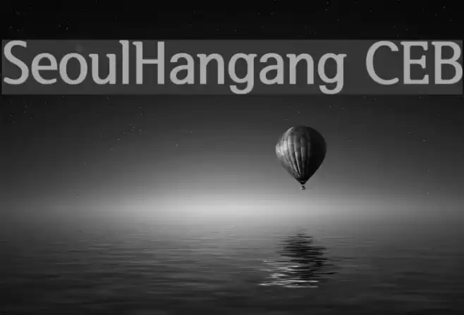 SeoulHangang CEB Polices examples