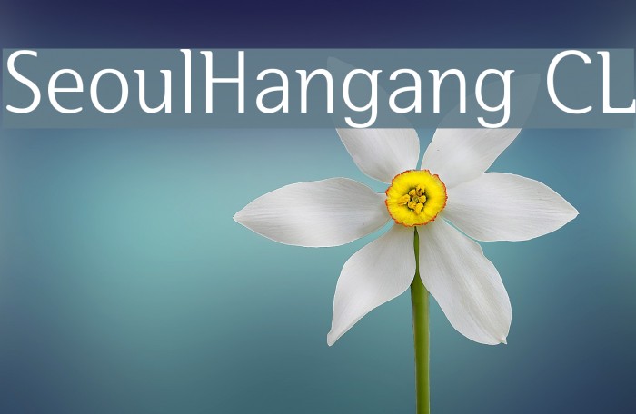 SeoulHangang CL Font examples